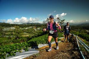 BIB: 9388, 
                            <button type="button" onclick="openModal(19125010)" class="btn btn-primary btn-sm float-right btn-popup" data-toggle="modal" data-target=".modal-high-quality">
                        <i class="fas fa-shopping-cart"></i> Add to Cart
                    </button>
                                            <button type="button" onclick="isThisMe(19125010, true)" class="btn btn-success btn-sm float-right btn-popup btn-isme hidden" data-toggle="tooltip" data-placement="bottom" title="นี่คือรูปของคุณใช่ไหม คลิกที่นี่เพื่อเอาเข้าอัลบั้ม">
                        <i class="fas fa-plus"></i> Add to album
                    </button>
                    <button type="button" onclick="isThisMe(19125010, false)" class="btn btn-warning btn-sm float-right btn-popup btn-isnotme hidden">
                        <i class="fas fa-ban"></i> Remove from album
                    </button>